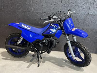 YAMAHA PW50